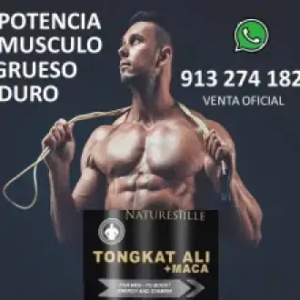 TONGKAT ALI - POTENCIA para la salud sexual masculina -IZAGUIRRE