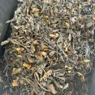 ALGAS MARINAS PERUVIAN EXPORT FROM PERU