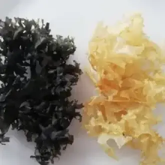 Irish Moss Chondrus Crispus purple Golden origin peru-Wholesale in Stock 