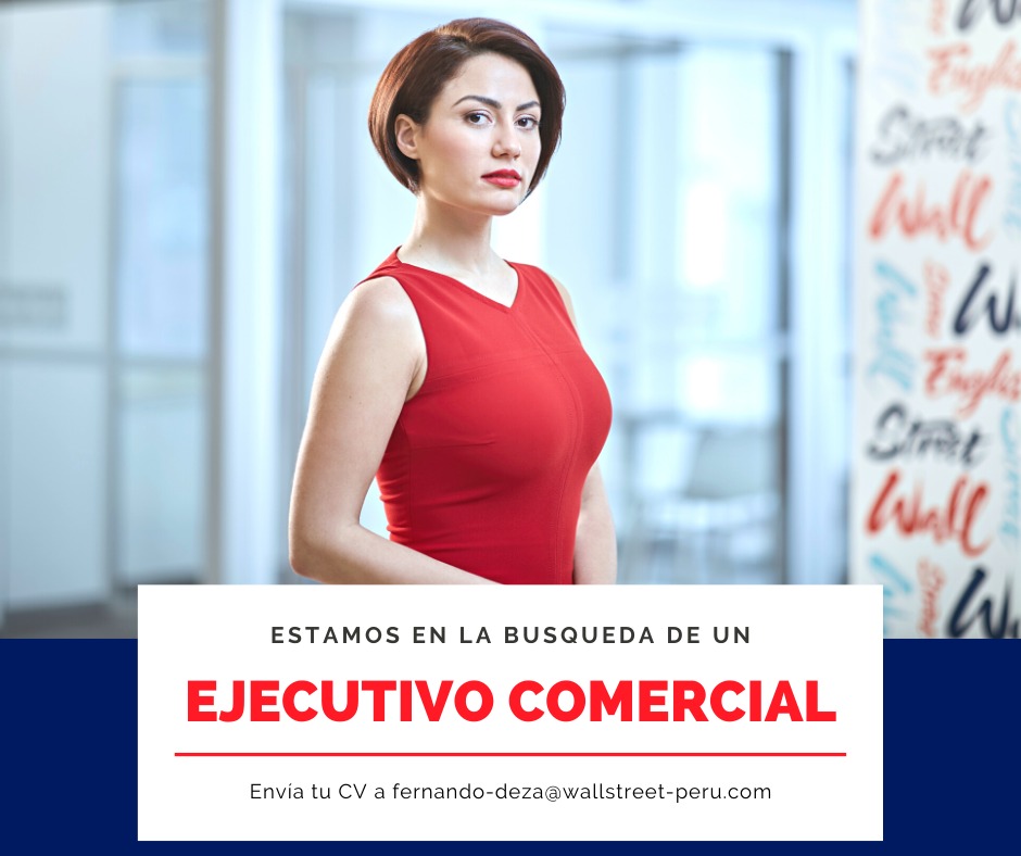 EJECUTIVO COMERCIAL - C/S EXPERIENCIA