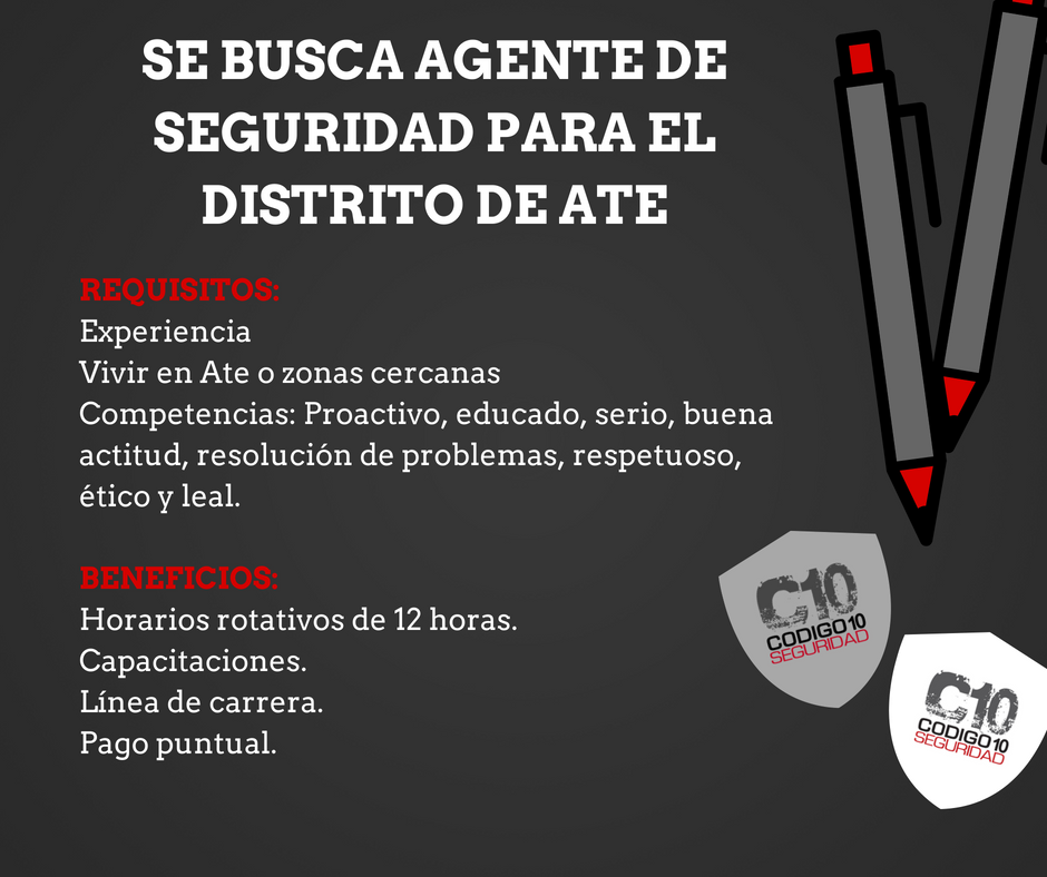 AGENTE DE SEGURIDAD