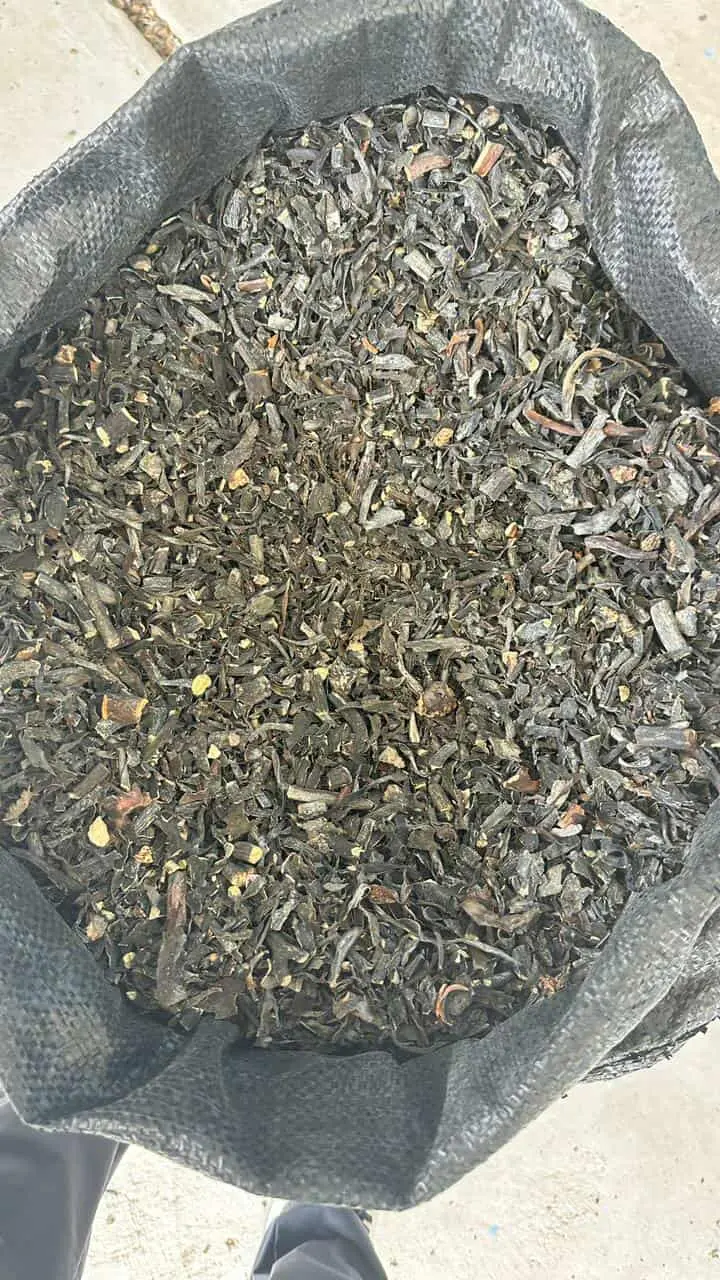 seaweed lessonia Nigrescens chopped brown from peru