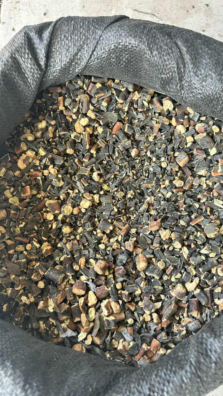Seaweed Lessonia trabeculata brown chopped from peru