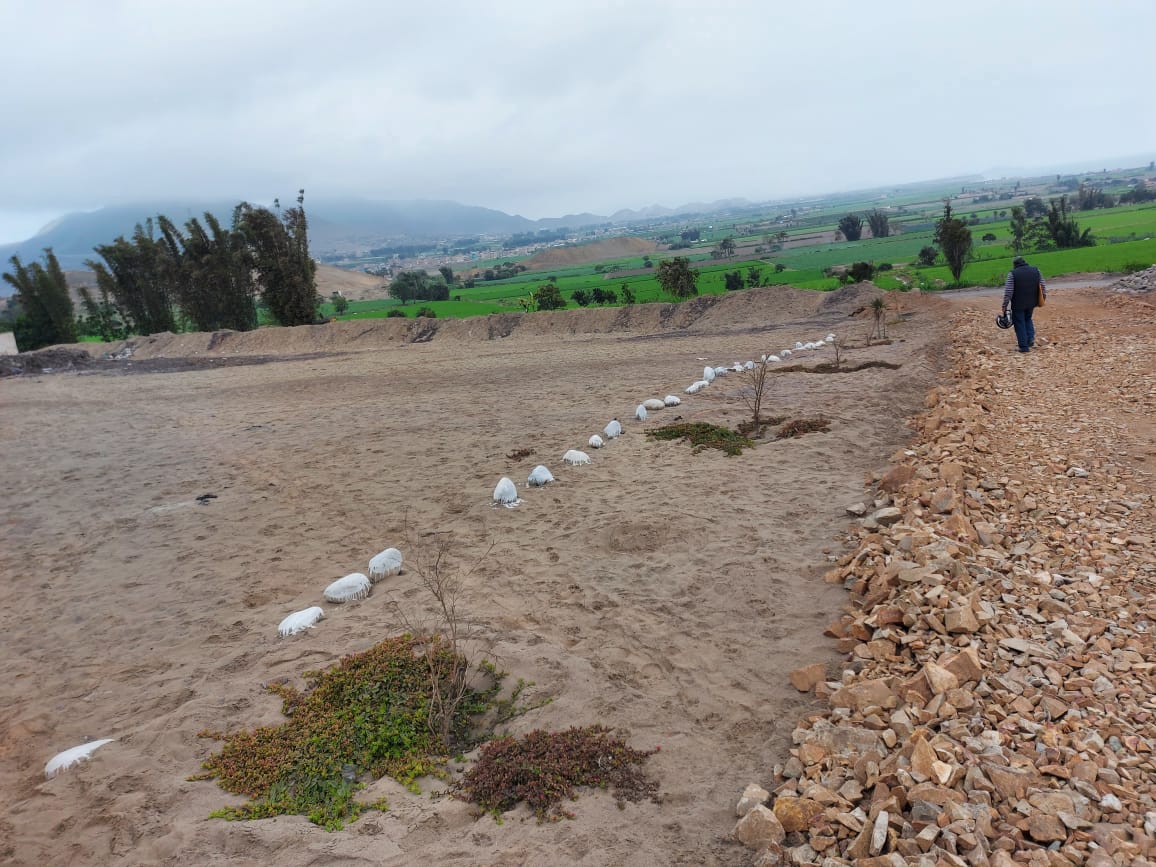 TERRENO DE 8.2 HECTAREAS EN CHANCAYLLO  HUARAL