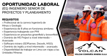 (01) Ingeniero Senior de Proyectos y Planeamiento - Ingeniero Senior de Proyectos y Planeamiento