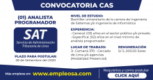 CAS N° 060: ANALISTA PROGRAMADOR Vacantes: 1