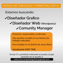 Diseñador Grafico y Diseñador Web