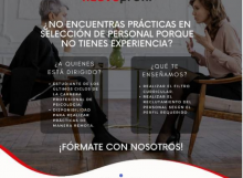 PRACTICANTE DE PSICOLOGIA ORGANIZACIONAL