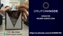 Grupo Hinode