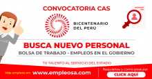 CAS N° 019: ASISTENTE EN PLATAFORMAS DIGITALES Vacantes: 1